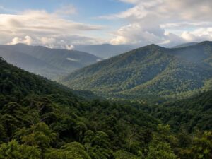 Rolling mountain ridges covered in dense tropical rainforest above a green valley in Trinidad and Tobago