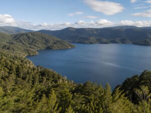 Deep blue lake surrounded by rounded hills covered in dense green temperate forest under soft clouds in Chile