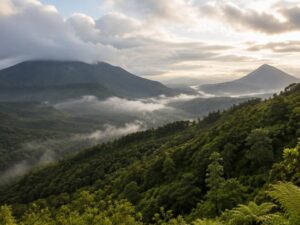Rainforest-covered volcanic ridges with misty valleys and cloud-topped peaks in Saint Lucia