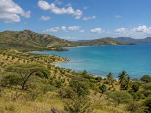 Green hills with acacia scrub and palms sloping down to a turquoise bay in Antigua and Barbuda