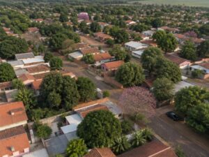 Aerial view of a residential neighborhood with red tile roofs, leafy trees, a blooming lapacho and red-earth streets in Paraguay