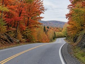 Quiet countryside road through a red and orange autumn maple forest in Canada