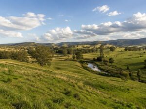 Rolling green grassland hills with scattered trees and a winding stream in Uruguay