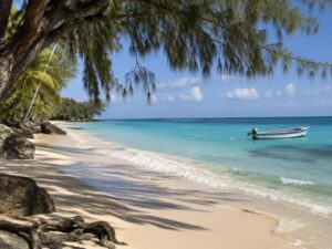 Calm beach shaded by casuarina and palm trees with a small boat anchored in turquoise water in Barbados