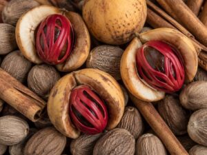 Open nutmeg fruits with bright red mace on whole nutmegs and cinnamon sticks in Grenada
