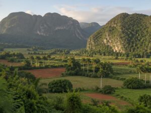 Green valley with red-earth farm fields, royal palms and rounded forested limestone hills in Cuba