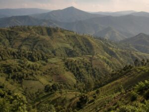 Layered green mountain ridges with small terraced farm plots fading into soft haze in Haiti