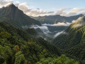 Steep rainforest-covered volcanic mountains with deep green valleys and low drifting mist in Dominica