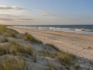 Quiet sandy Atlantic beach with low grassy dunes and gentle waves in Uruguay