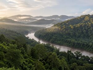 Rolling green hills covered in tropical rainforest with a brown river winding through a misty valley in Belize