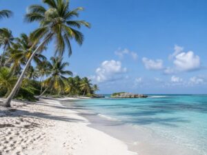 Turquoise Caribbean beach with palm trees on the Yucatan coast in Mexico