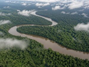 Aerial view of dense lowland rainforest canopy with a winding brown river under low clouds in Panama
