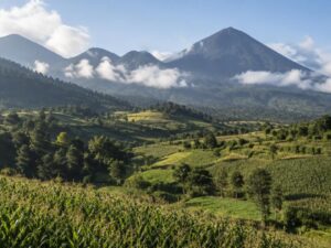 Green highland valleys with cornfields and pine-covered volcanic mountains under soft morning clouds in Guatemala